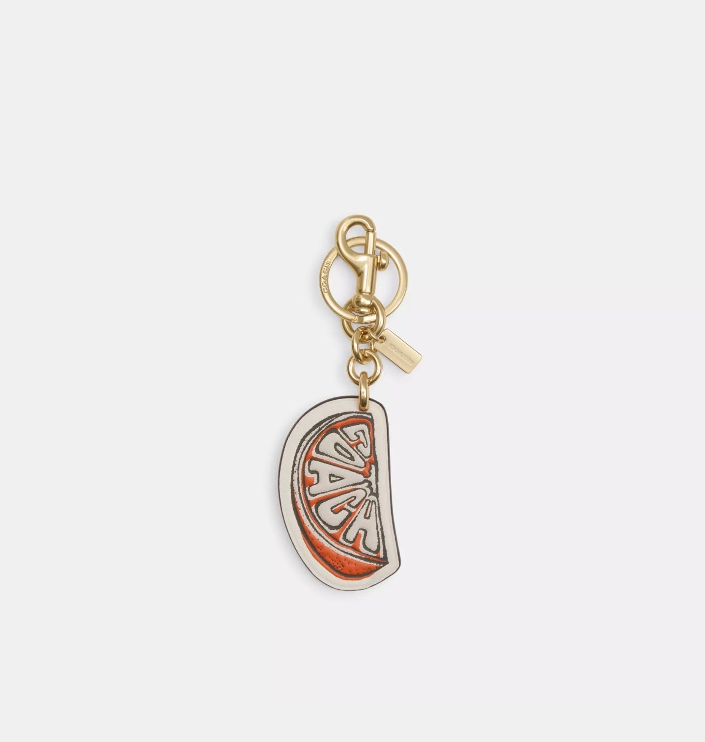 Bag Charm Coach ***Preorden***