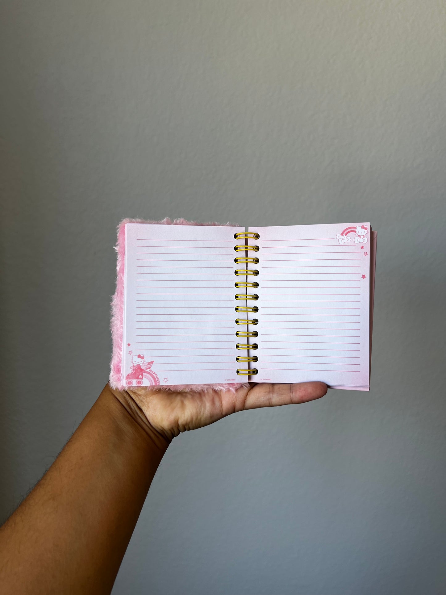 Mini libreta Hello Kitty Plush