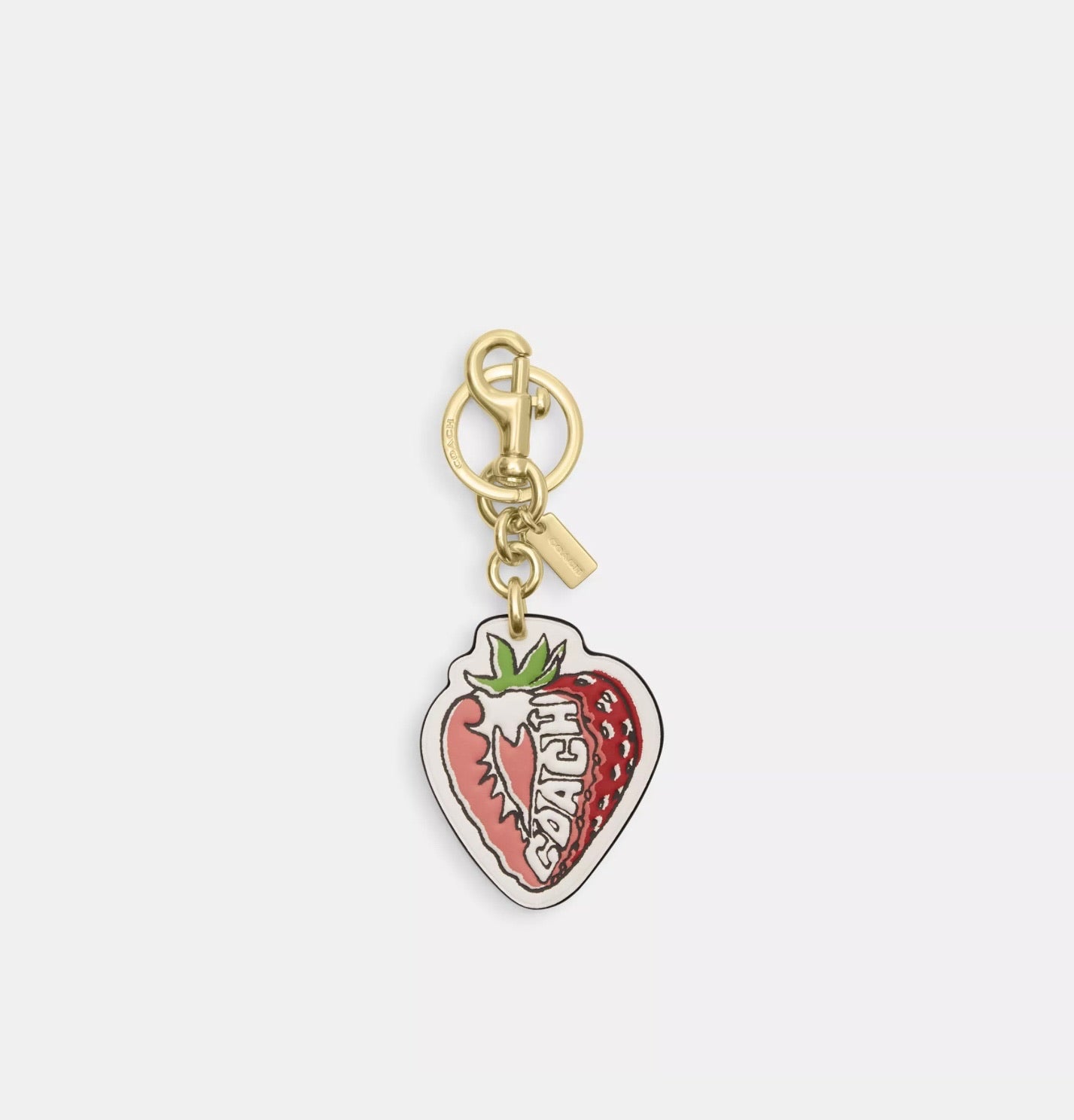 Bag Charm Coach ***Preorden***