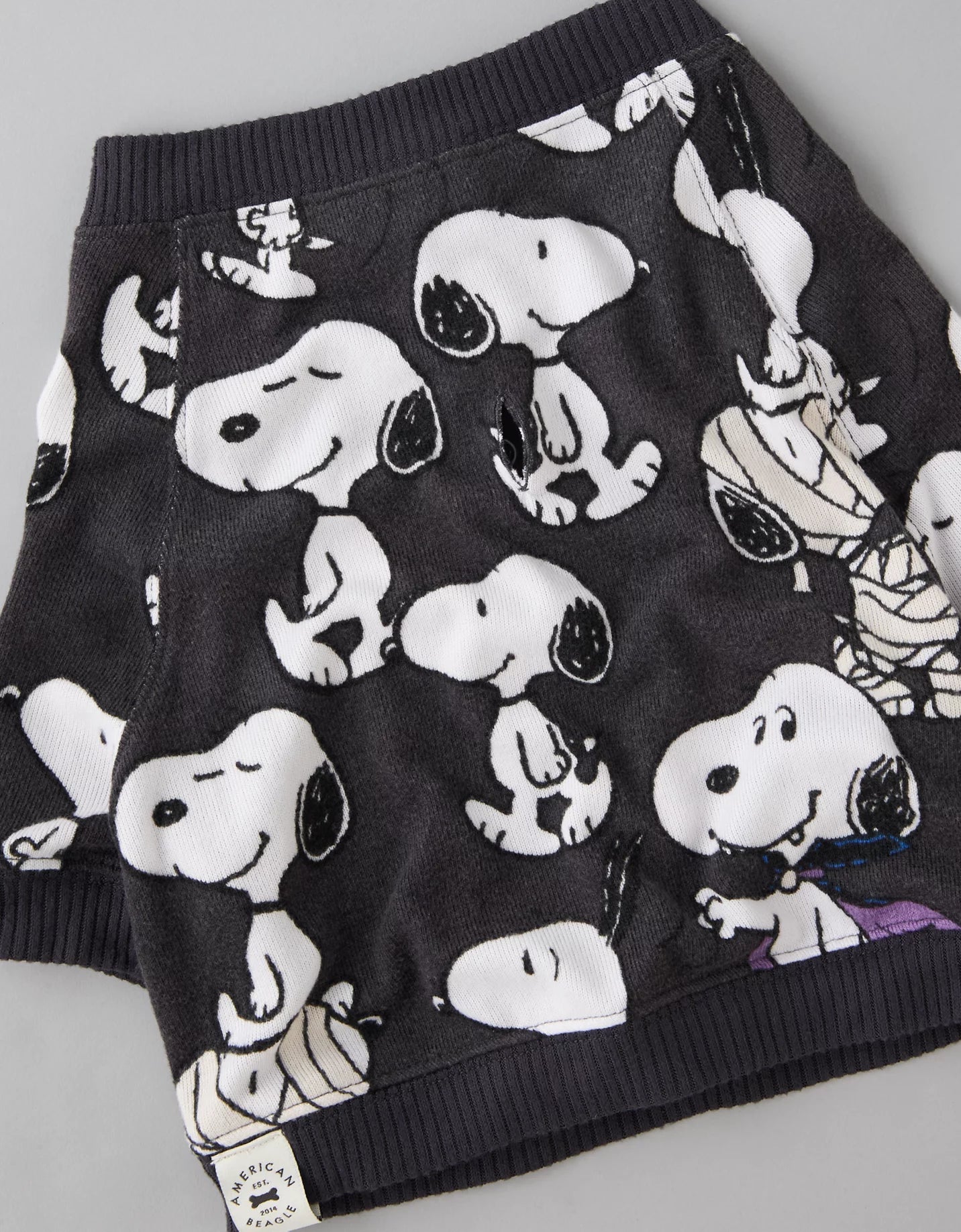Dog Pj Set Snoooy Momia American Eagle ***Preorden***