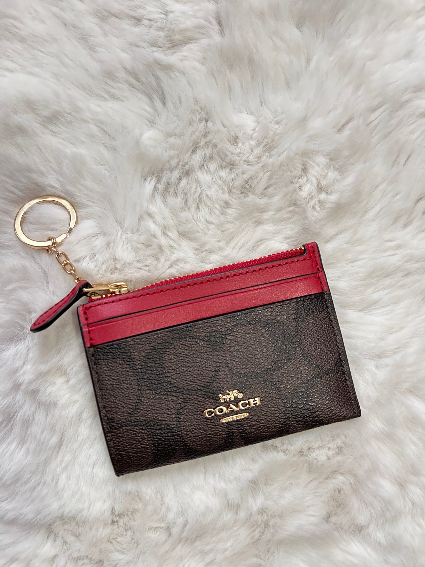 Mini Skinny Id Case Rojo y Café Coach