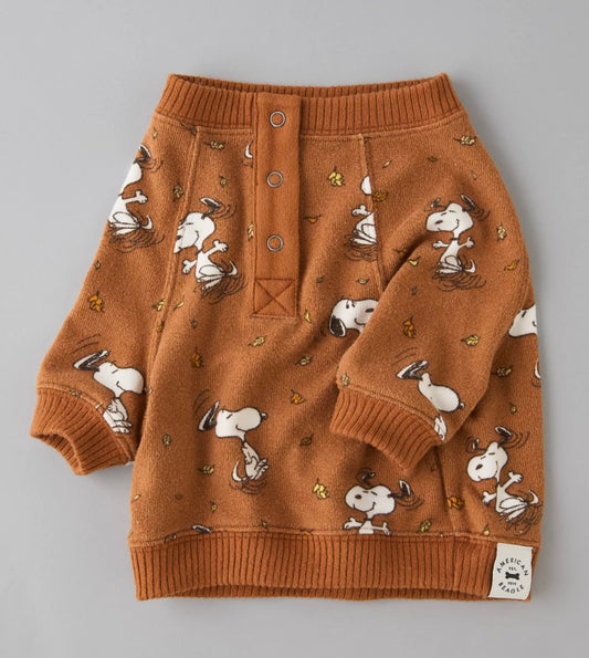 Ropita para perrito Snoopy Fall *** Preorden ***