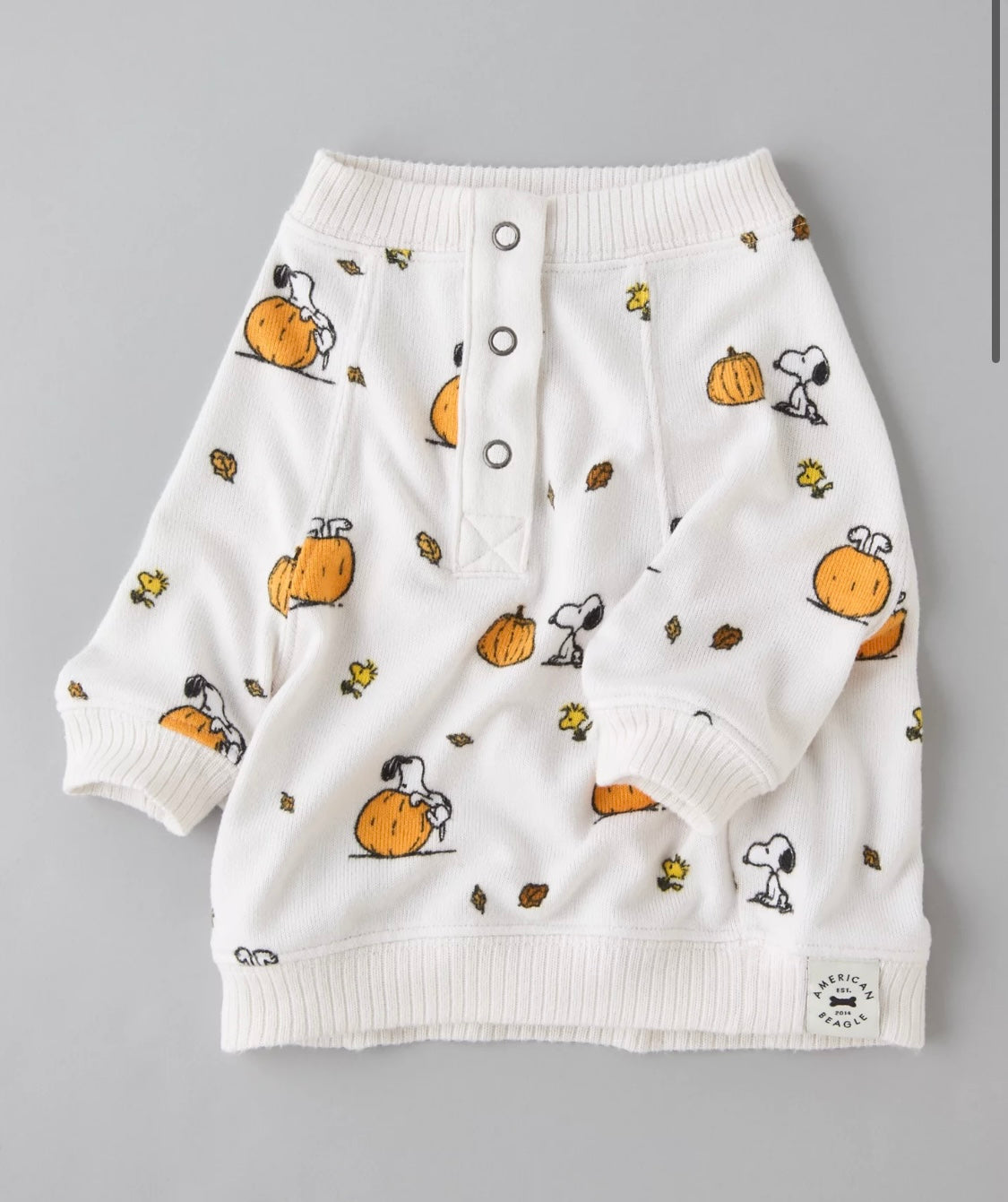Ropita para perrito Snoopy Fall ***Preorden***
