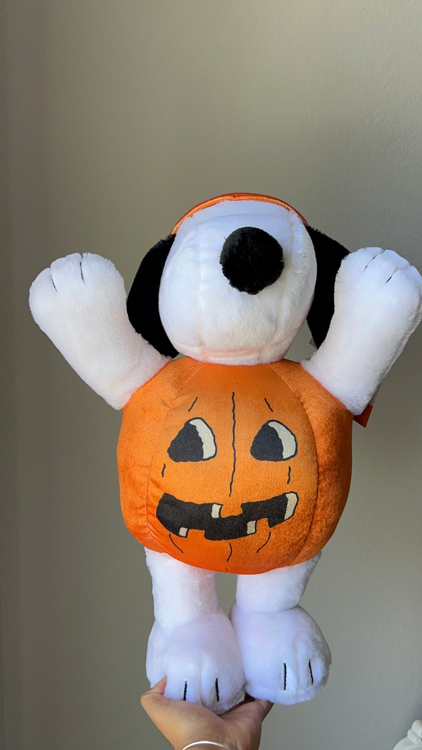 Greeter Snoopy Calabaza ***Preorden***
