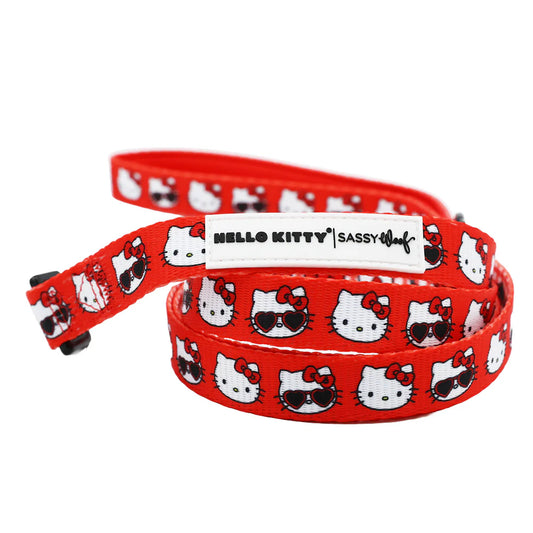 Hello Kitty Correa para perro